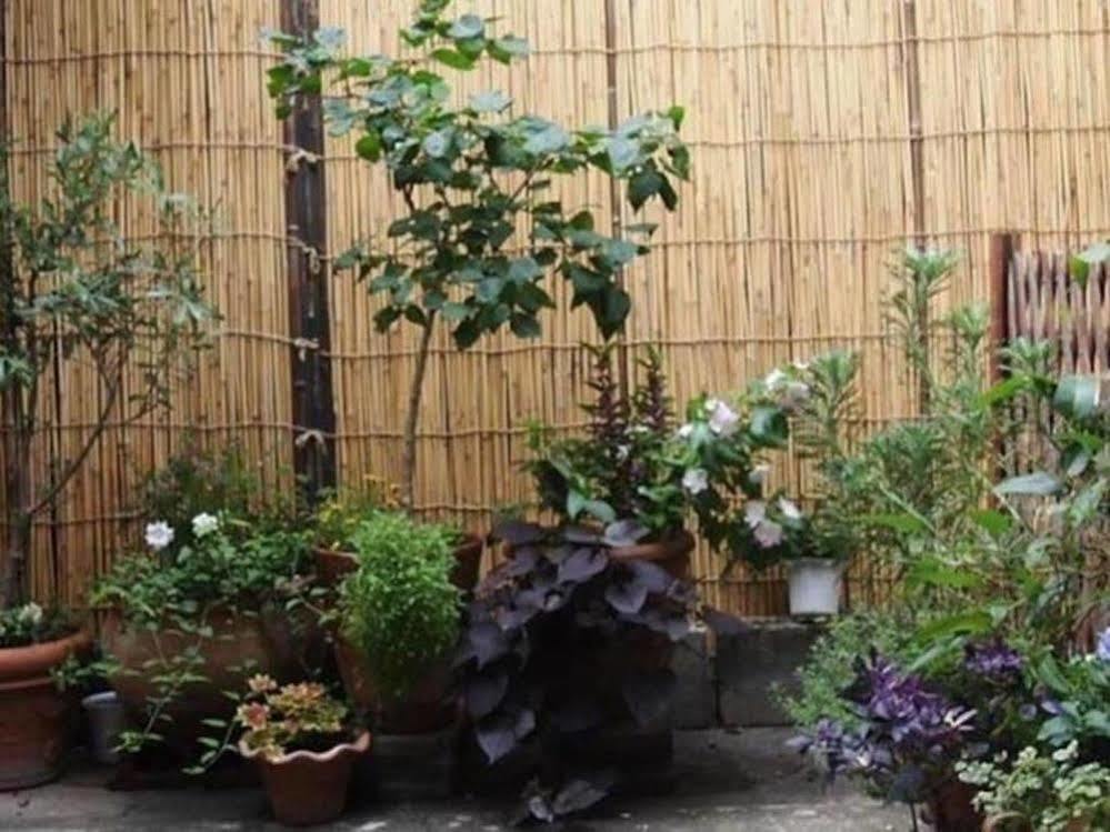 Guesthouse Usagi-Momiji Kyoto Luaran gambar